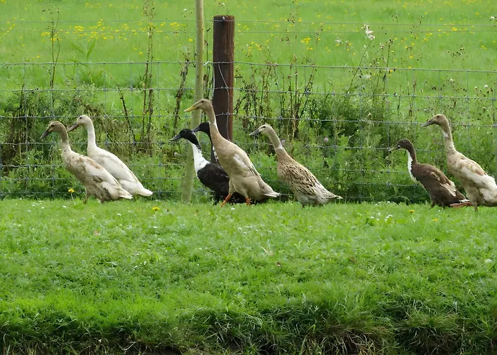 Lejlighed Am Alten Deich Butjadingen